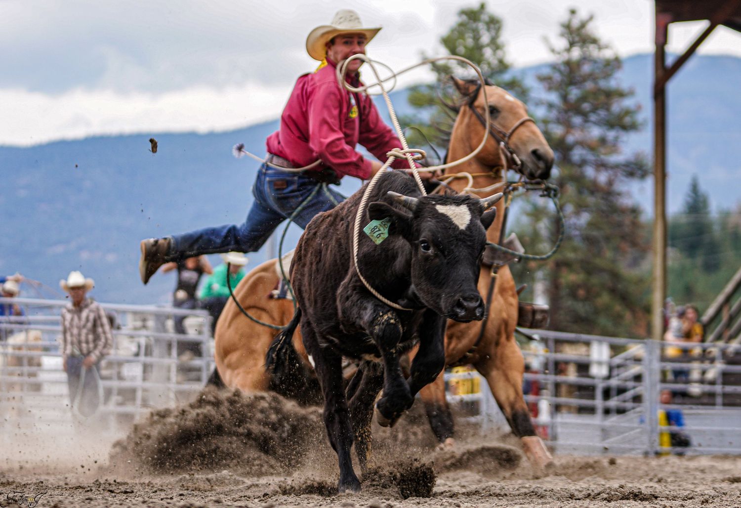 Canadian Rodeo Photographer