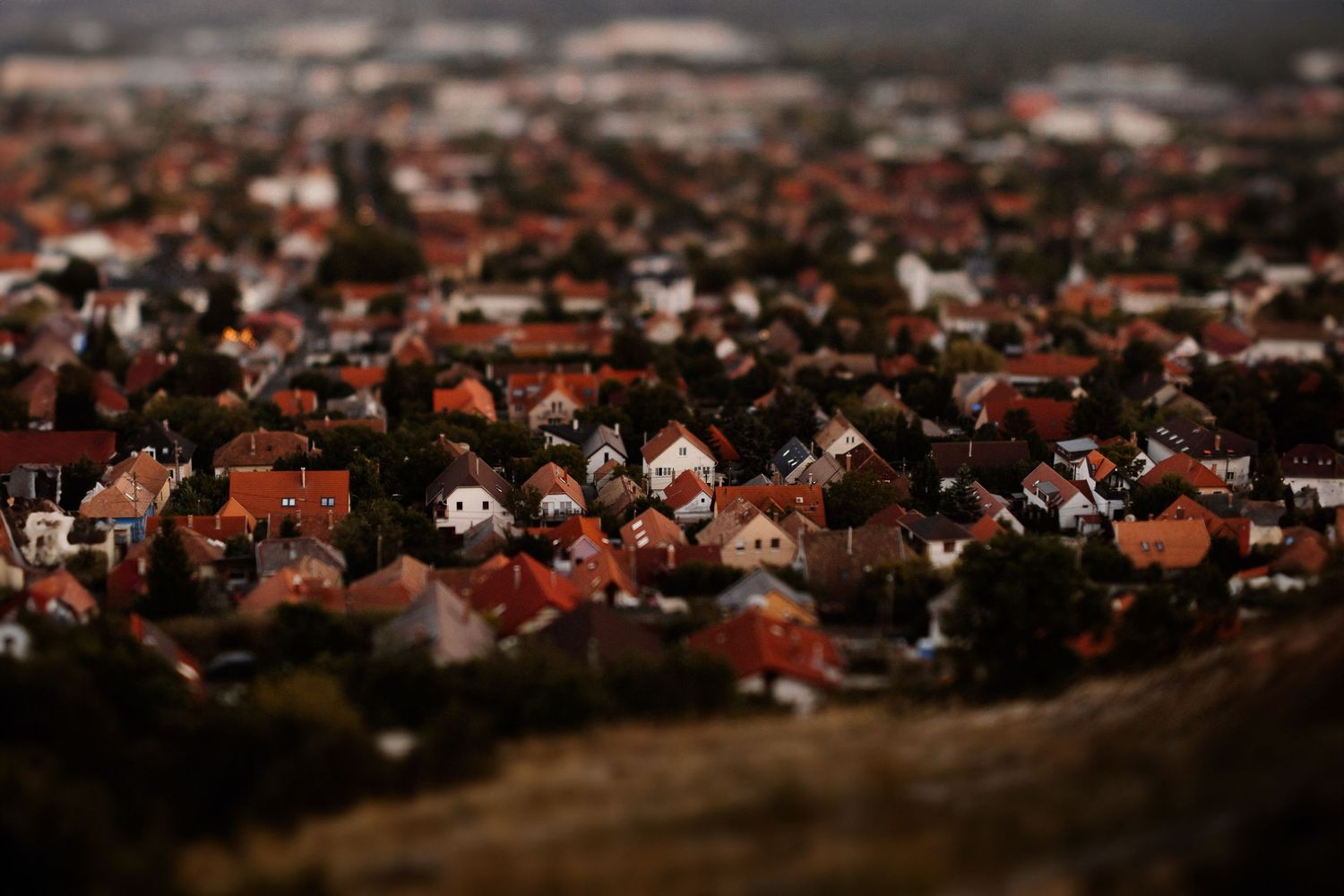 Aerial view of residential neighborhood with red rooftops at sunset.