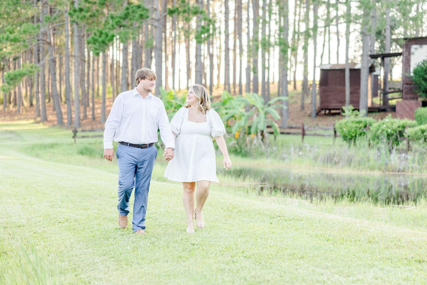 Distant view of a couple walking through a peaceful pine forest landscape.