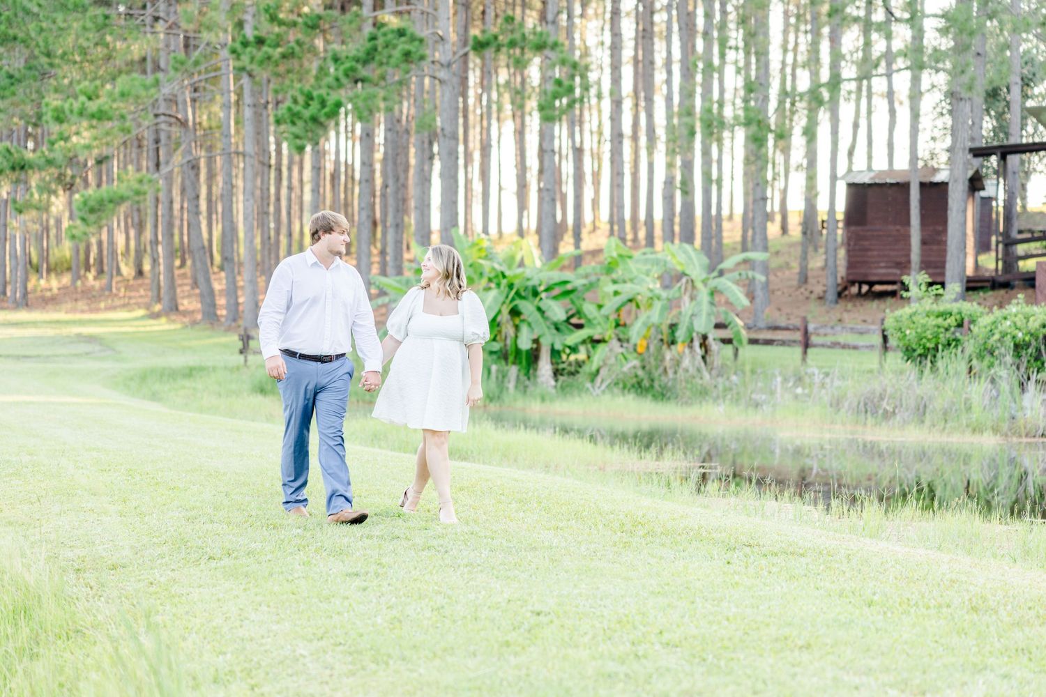 Wide landscape shots of a couple walking together through a serene pine forest setting.