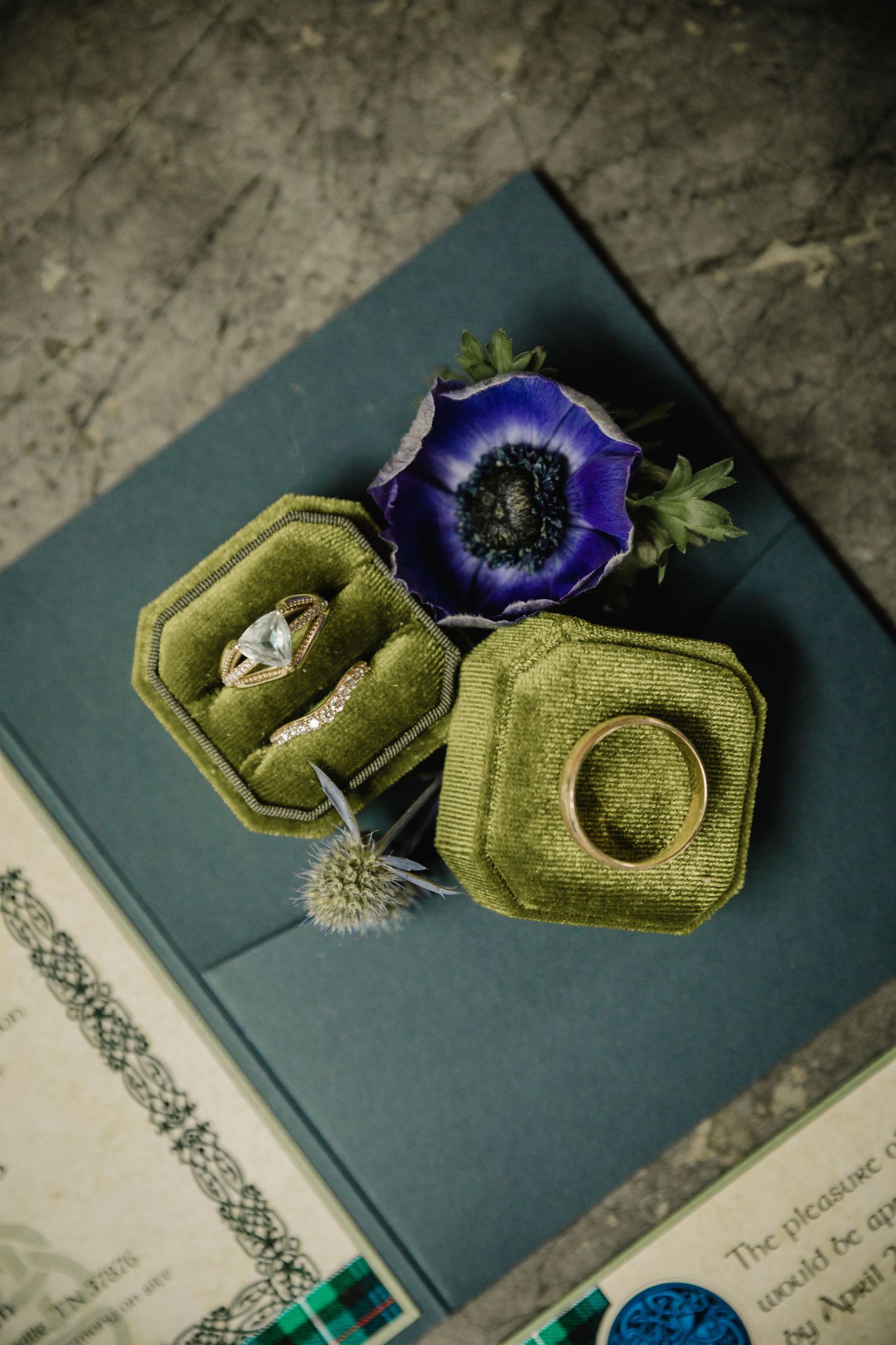 Wedding rings in green velvet box with purple anemone flower on dark background.