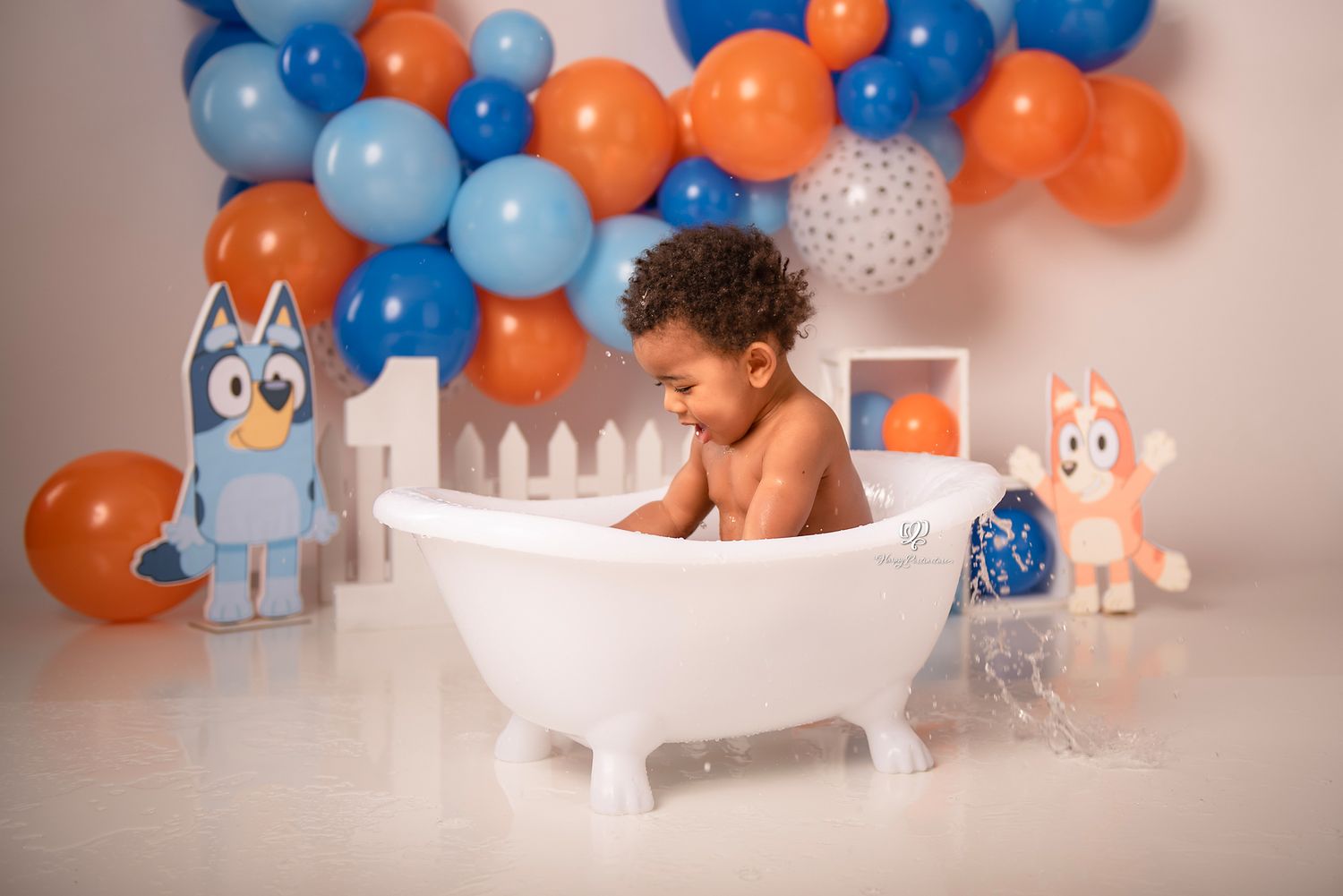 Bluey Cake Smash, Lexington, SC Cake Smash photographer; studio photography; First Birthday baby boy photoshoot